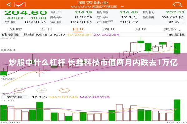 炒股中什么杠杆 长鑫科技市值两月内跌去1万亿