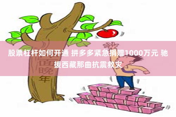 股票杠杆如何开通 拼多多紧急捐赠1000万元 驰援西藏那曲抗震救灾