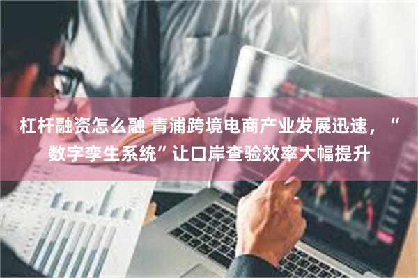 杠杆融资怎么融 青浦跨境电商产业发展迅速，“数字孪生系统”让口岸查验效率大幅提升